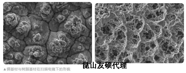 山西蔡司山西扫描电镜